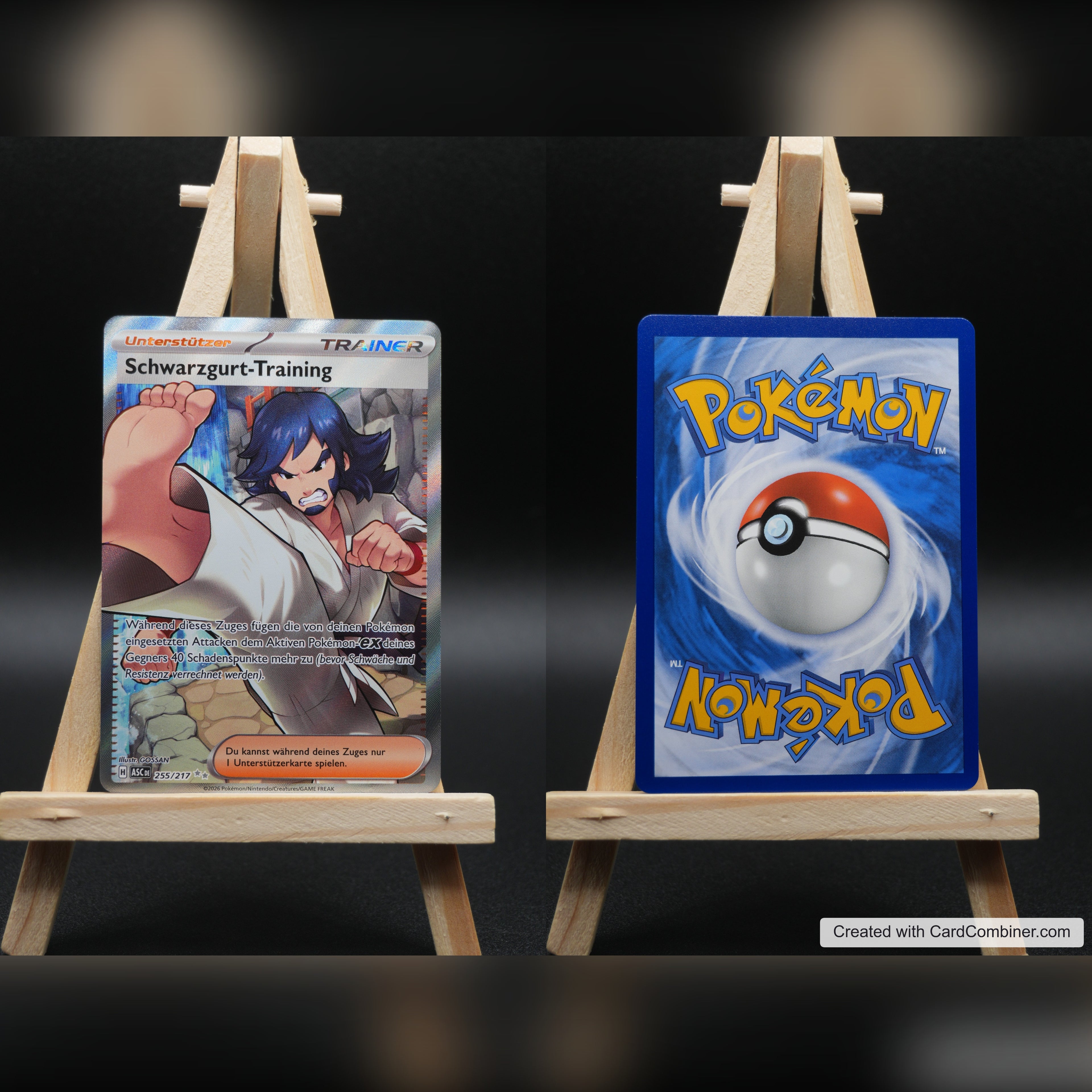 Schwarzgurt-Training ASC 255 Erhabene Helden Pokémon Karte Deutsch Near Mint