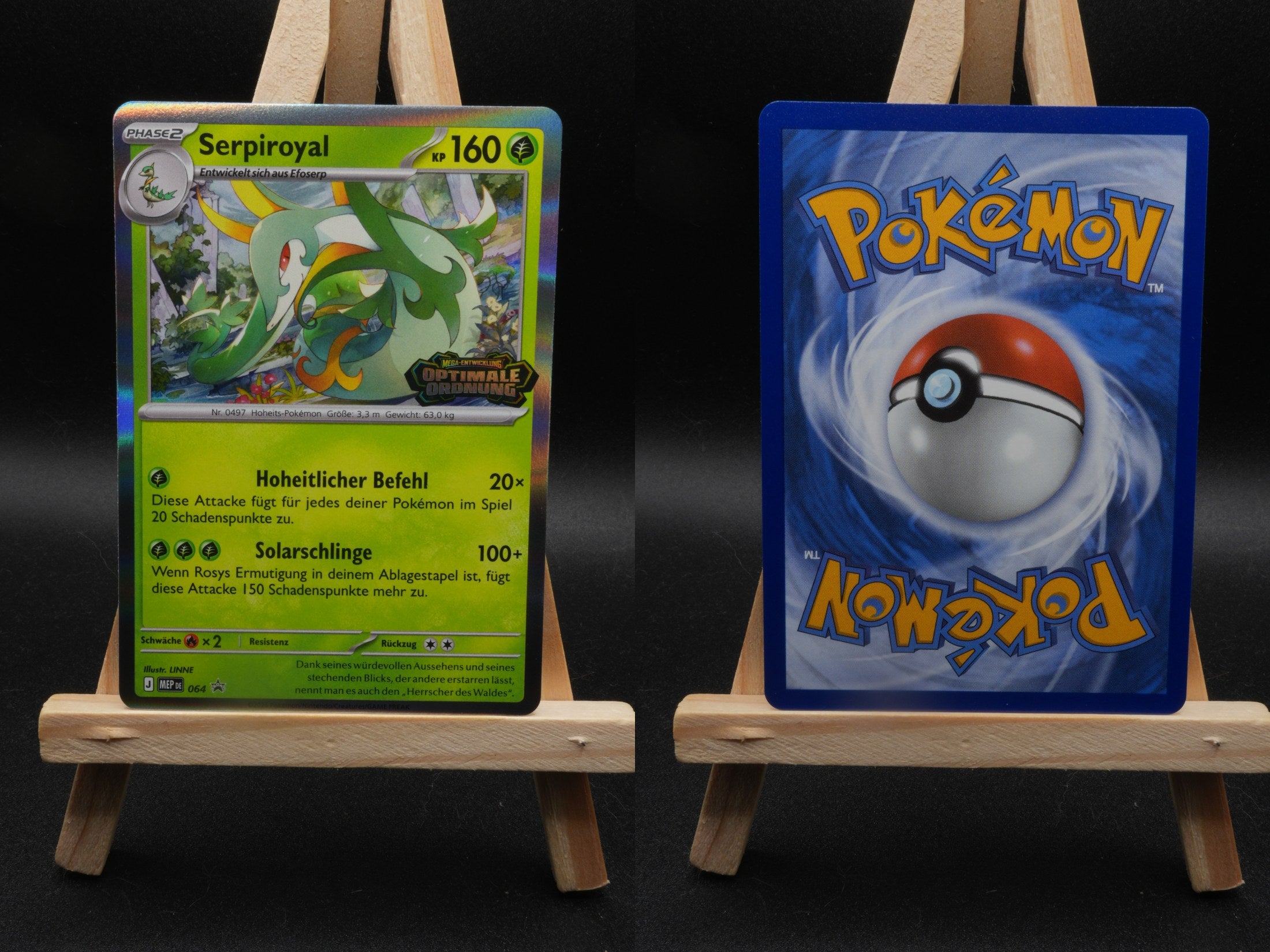 Serpiroyal MEP 064 MEP Black Star Promos Pokémon Karte Deutsch Near Mint