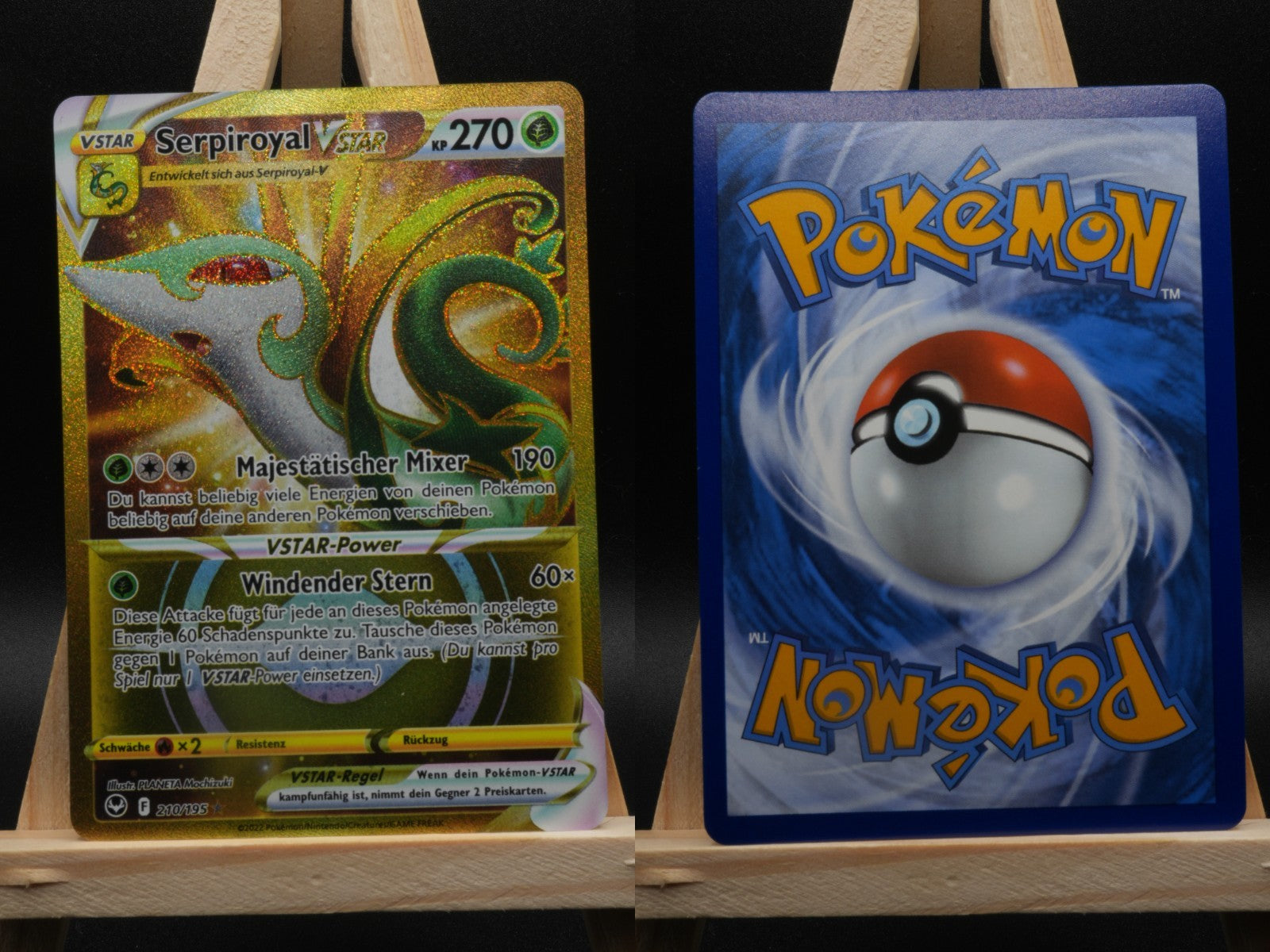 Serpiroyal VSTAR 210/195 Secret Rare Silberne Sturmwinde DE NM Pokémon