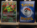 Maracamba JTG 160 Reisegefährten Pokémon Karte Deutsch Near Mint