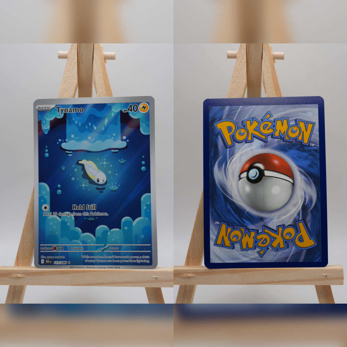 Zapplardin BLK 113 Schwarze Blitze Pokémon Karte Englisch Near Mint