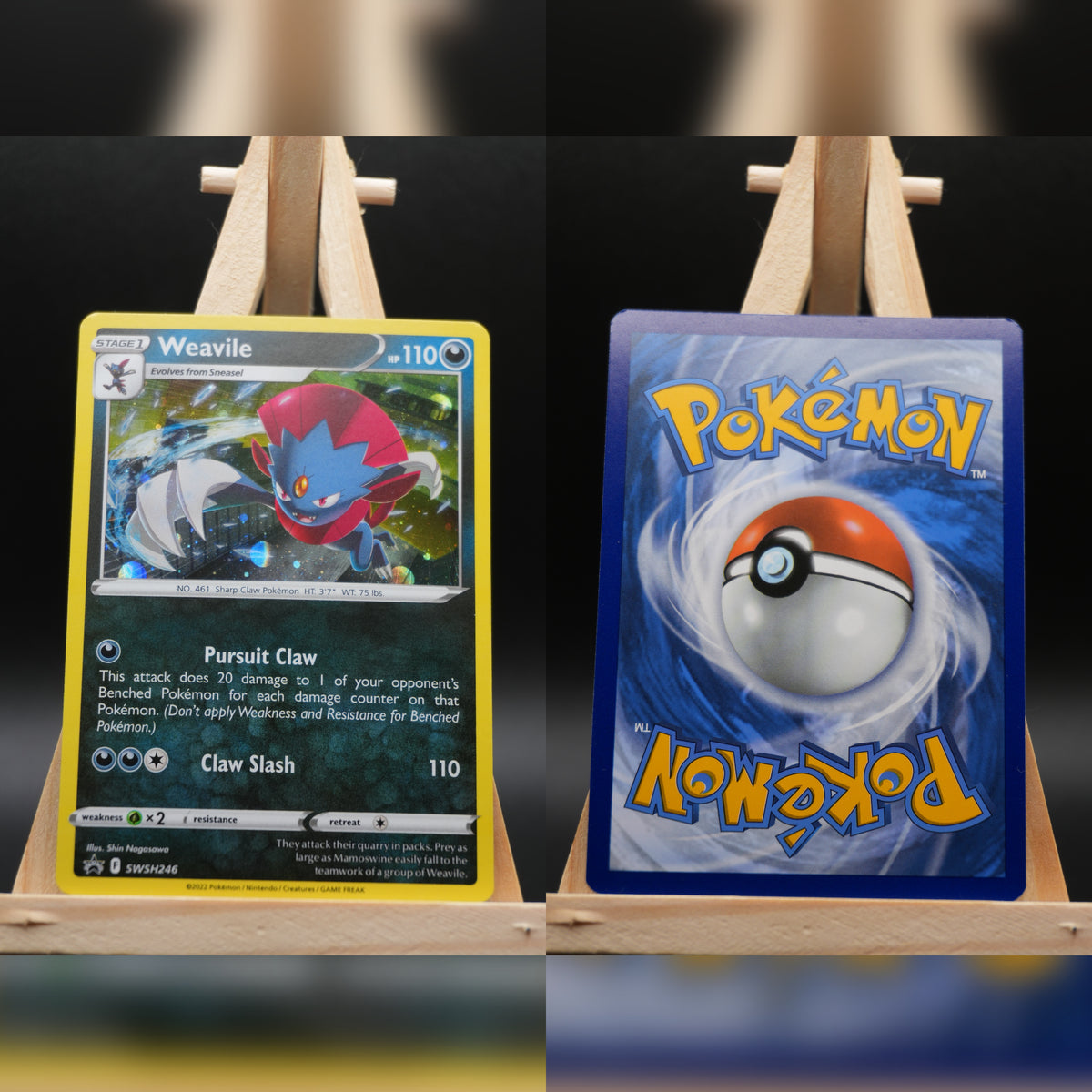 Snibunna SWSH 246 SWSH Black Star Promo Pokémon Karte Englisch Near Mint